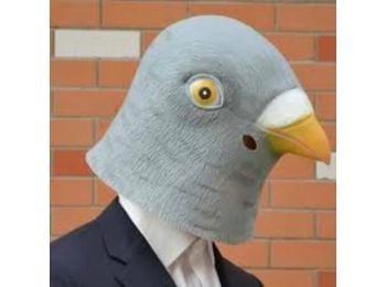Galamb madár halloween, farsangi maszk