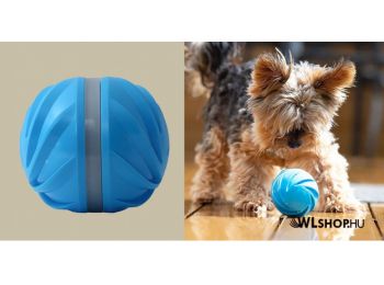 Cheerble W1 interaktív labda kutyáknak és macskáknak (Ci