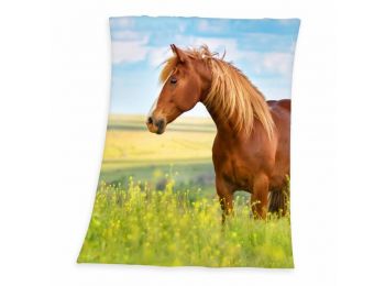 LOVAS FREEDOM pléd 130x160 cm