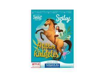 Szilaj: A titkos küldetés társasjáték, kártyajáték