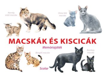 Macskák és kiscicák – Memóriajáték
