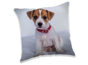 Kutyás Párna, Díszpárna 40x40 cm