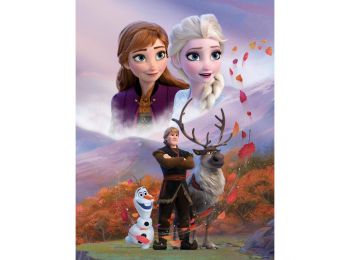 Disney Jégvarázs Wind Polár Takaró 130x170 cm