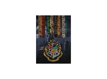 Harry Potter Houses Polár Takaró 100x140cm