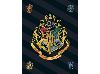 Harry Potter Polár Takaró 100x140cm