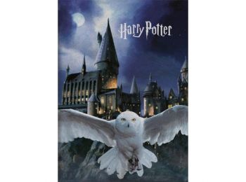 Harry Potter Roxfort Polár Takaró 100x140cm