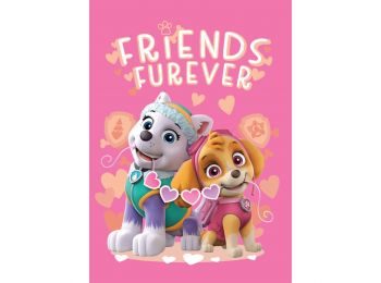 Mancs Őrjárat Friends Furever Polár Takaró 100x140cm