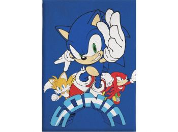 Sonic A Sündisznó Coin Chase Polár Takaró 100x140cm