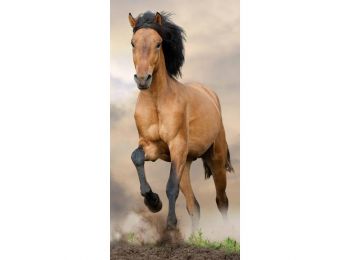 Lovas Brown Fürdőlepedő, Strand Törölköző 70x140cm