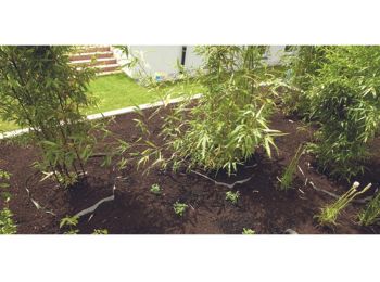 DuPont Plantex Rootbarrier Pro gyökércsapda bambuszszegél