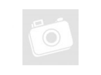 SYSTEM WR2V4104 falburkoló  29,8x59,8x1 cm