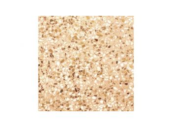 TERRAZZO ZGD 61262 padlóburkoló 59x59x0,85 cm