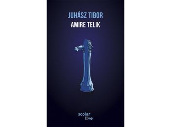 Amire telik