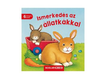 Ismerkedés az állatkákkal