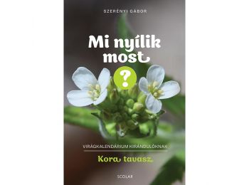 Mi nyílik most? – Kora tavasz