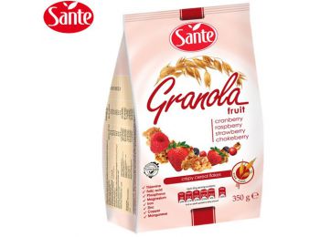 Sante granola gyümölcsös 350g