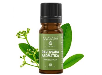 Mayam ravensara aromatica illóolaj tiszta 10ml