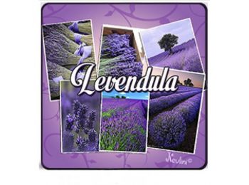 LEVENDULA hűtőmágnes