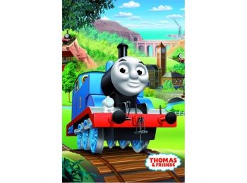 THOMAS A GŐZMOZDONY pléd 100x150 cm