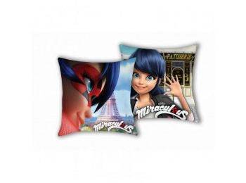 MIRACULOUS KATICABOGÁR ÉS FEKETE MACSKA MARINETTE díszpá