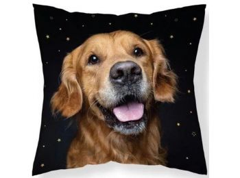 KUTYÁS FUNNY DOG díszpárnahuzat 40x40 cm