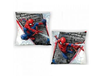 PÓKEMBER díszpárnahuzat 40x40 cm