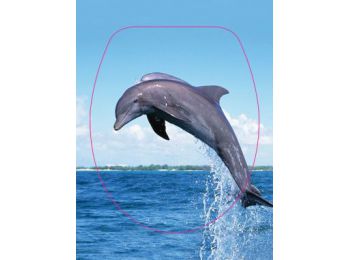 BRH Delfin Duroplast WC-ülőke 3 oldalon nyomtatott