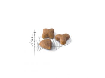 Royal Canin Sensible macskatáp 0,4 kg