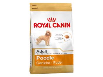 Royal Canin Poodle fajtatáp 0,5 kg