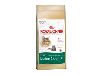 Royal Canin Mainecoon Adult macska fajtatáp 4 kg
