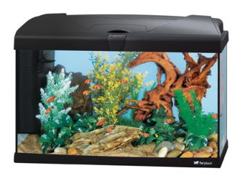 Ferplast Capri 60 Aquarium Akvárium Szett KIZÁRÓLAG SZEM