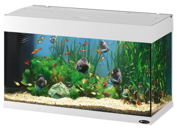Ferplast Dubai 80 White Akvárium Szett #Megrendelésre#