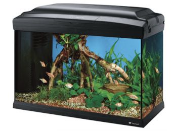 Ferplast Cayman 50 Professional Black Akvárium Szett #Megre