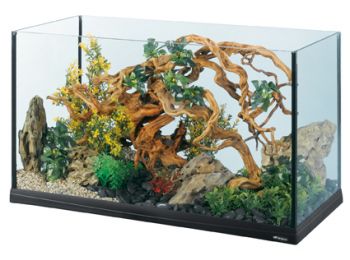 Ferplast Tank 80 Black Aquarium #Megrendelésre#