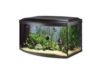 Ferplast Cayman 110 Scenic Black T5 Akvárium Szett #Megrend