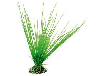 Ferplast Blu 9057 Plastic Acorus 8