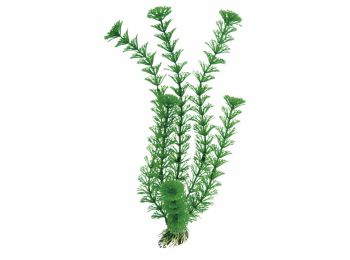 Ferplast Blu 9061 Plastic Cabomba 12