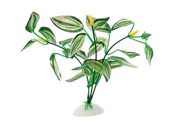 Ferplast Blu 9080 Silk Gymnocoronis 8