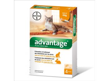 Advantage 40 Spot On macska 4 kg/4X0,4 ml