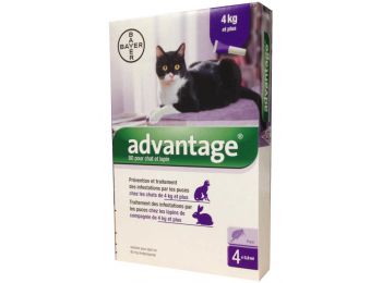 Advantage 80 Spot On macska 4-8 kg/4X0,8 ml