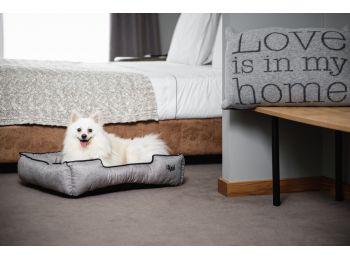 Agui Nature kutyaágy barna/bézs 70x60x17