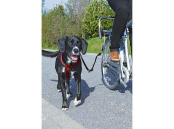 Trixie Bicikli Szett Nagy Testű Kutyának