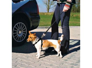 Trixie Biztonsági Öv Kutya M 50-70cm,fekete