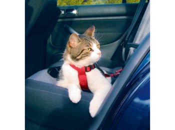 Trixie Biztonsági Öv Macskának 20-50cm/15mm,piros