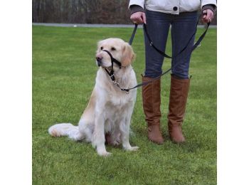 Trixie Hám Top Trainer L 31cm,fekete