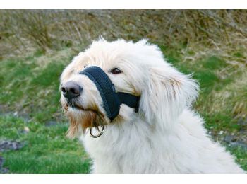 Trixie Szájszíj nylon L Fekete