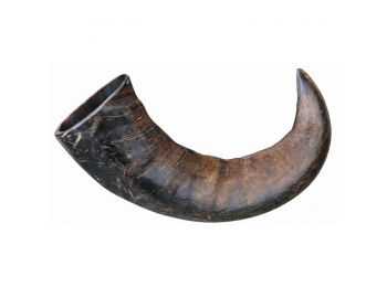 Trixie Bivaly Szarv Nagy