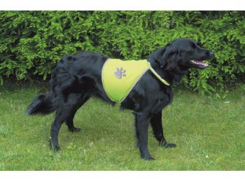 Trixie Biztonsági Mellény Kutyának Xs