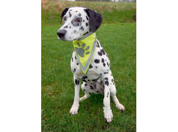 Trixie Biztonsági Kendő Kutyának Xs–s 22–28cm