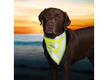 Trixie Biztonsági Kendő Kutyának S–m 29–42cm